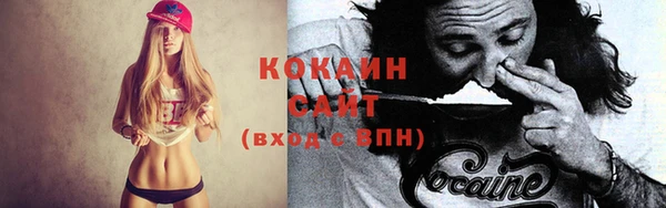 шишки Козельск