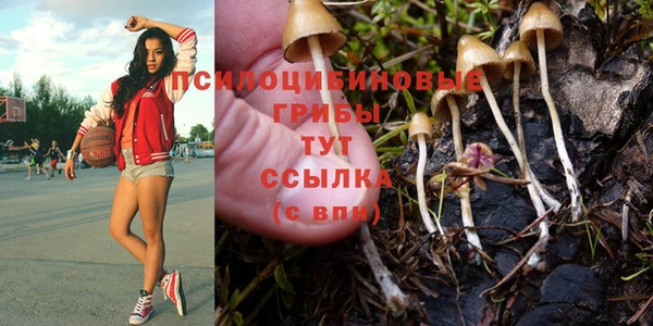 метадон Армянск