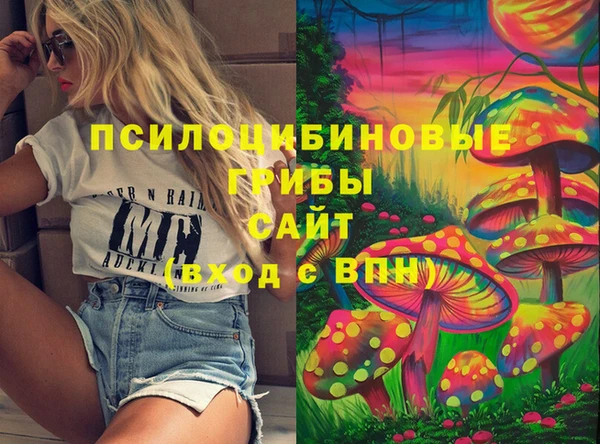 мет Аркадак