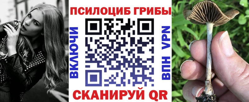 купить закладку  Сасово  mega маркетплейс  Галлюциногенные грибы Cubensis 
