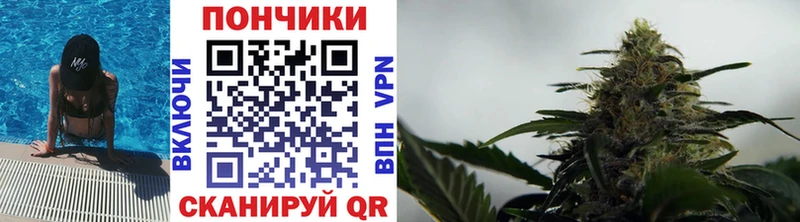 Канабис THC 21%  Сасово 